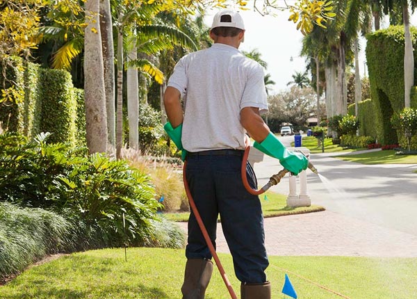 About Stone Lake WI Pest Control